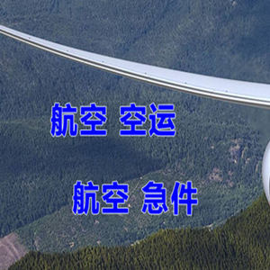 大水泊空运代理快递-选东方航空和上海航空