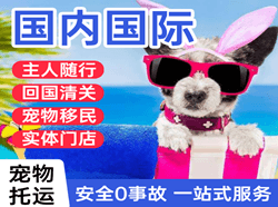大水泊空运代理国际宠物托运 【国